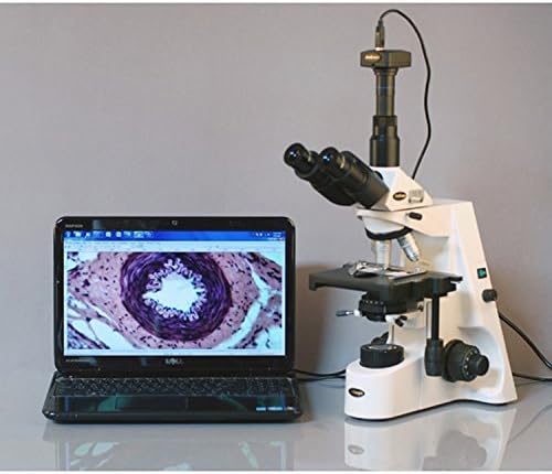 Microscópio de composto trinocular AMSCOPE T690A, ampliação 40X-1500X, oculares super em largura WH10X e WH15X, objetivos infinitos,
