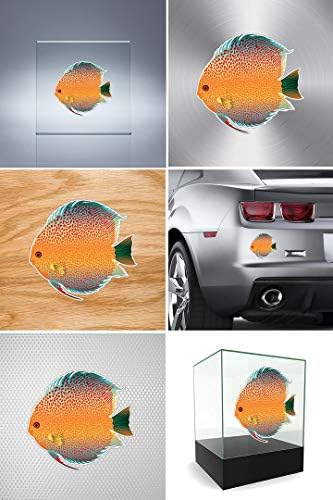 Adesivos adesivos de peixe disco de água doce aquário 5 x 4,7