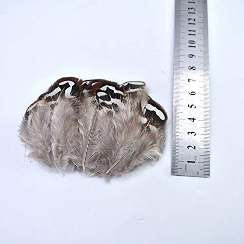 20-100pcs Fantas de faisão naturais para roupas Feathers de pavão diy para jóias que fabricam decoração de frango - 100 PCs - Zamihalaa