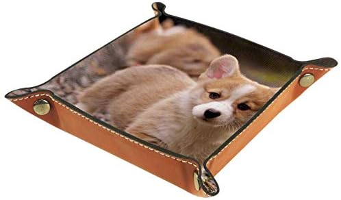 Lorvies Cute Cutgi Puppies Storage Box Cube Bins Bins Bins for Office Home