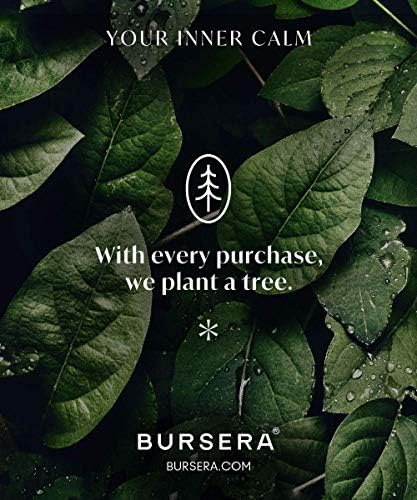 Bursera Óleo Essential Difusing Pedra, difusor portátil de óleo essencial não elétrico, árvore plantada a cada ordem, difusor