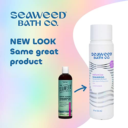 Bath Co. Seaweed Volumize shampoo, aroma de lavanda, 12 onças, algas marinhas colhidas de forma sustentável, algas