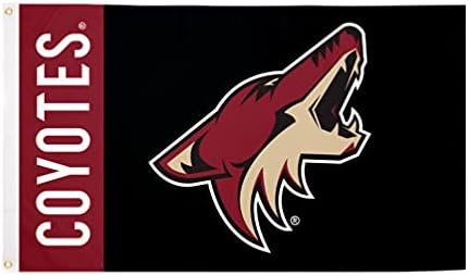 Desert Cactus Arizona Coyotes Team NHL National Hockey League poliéster interno externo 3 pés x 5 pés bandeira