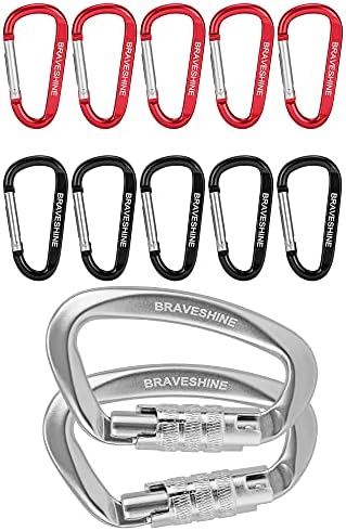 Braveshine 10 Pack Cores misturadas Chaves de chaveiro pequenos para chaves, mochilas + 2 pacote de clipes de carabiner de serviço pesado de prata