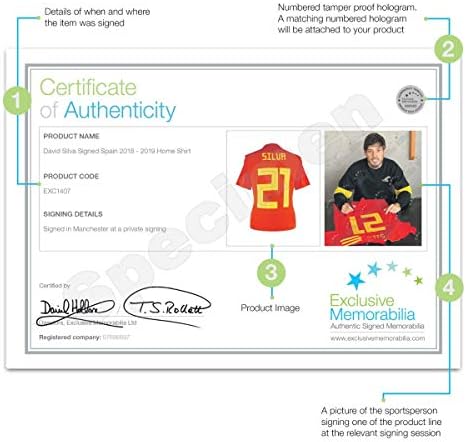 David Silva assinou a camisa de futebol da Espanha 2018-19. Quadro padrão | Mechos esportivos autografados