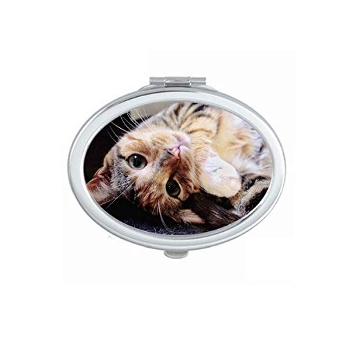 Listras gatas gatos relaxam animal adorável espelho portátil dobra maquiagem de mão dupla lateral óculos