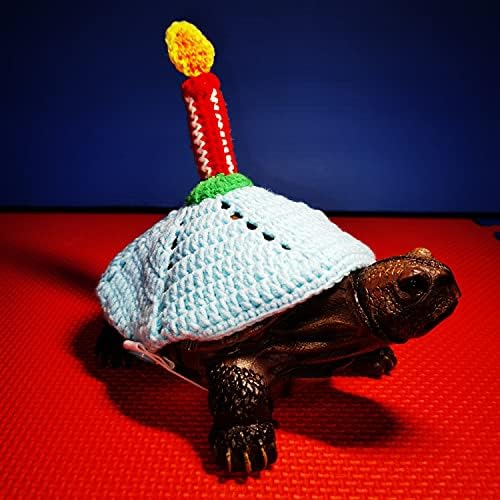 Sweater for Turtle - suéter de tartaruga de malha quente de inverno feita com tira ajustável Aparel de tartaruga de camisola
