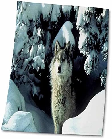 3drose florene animais - um lobo cinza na neve - toalhas