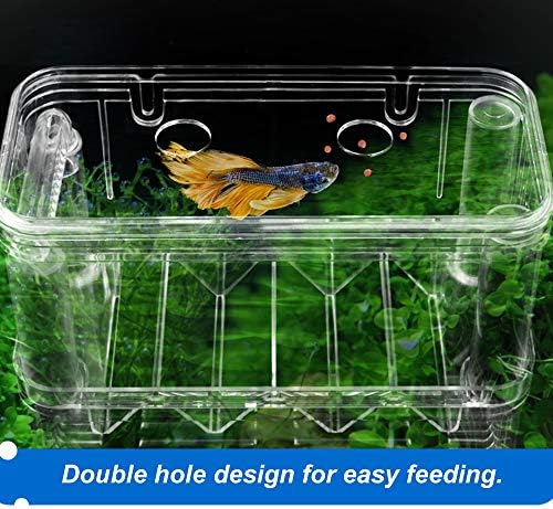 Caixa de reprodução de peixe Caixa de isolamento Aquário Aquário Tanque de peixes incubador de incubador Caixa de