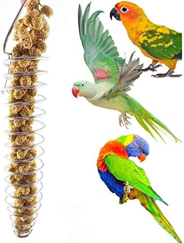 Profectlen aço inoxidável papagaio de água de frutas cestas de frutas pássaros frutas rack rack de alimentos para papagaios