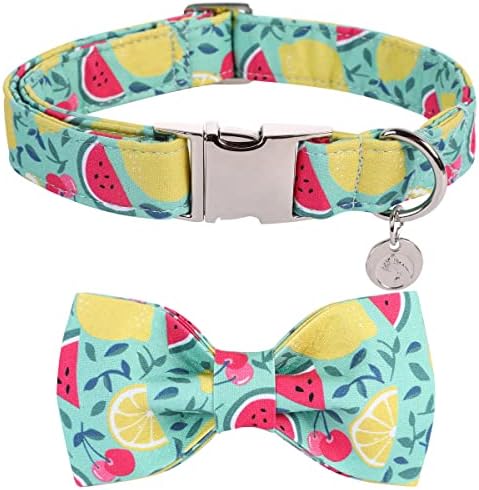 Dogwong Summer Dog Collar com arco, algodão Fruit Lemon Dog Colle
