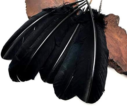 6 peças - peru preto rodadas de asas secundárias penas de penas de halloween fornecimento de figurinos de figurino | Pena da