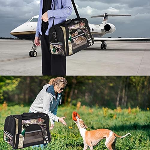 Pet Transportador 3D dinossauros através de transportadoras de viagem para animais de estimação fidelas de parede para gatos, cães