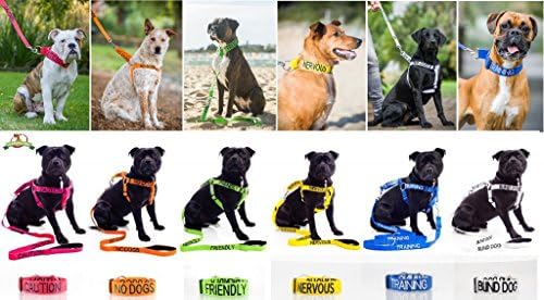 Dexil Limited Therapy Dog Blue Color codificado 2 4 6 pés A coleira de cachorro acolchoada evita acidentes, alertando outros do