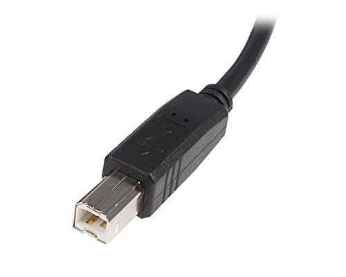 Startech.com USB 2HAB5M A-B Tipo 5m Male para macho USB 2.0 Cabo