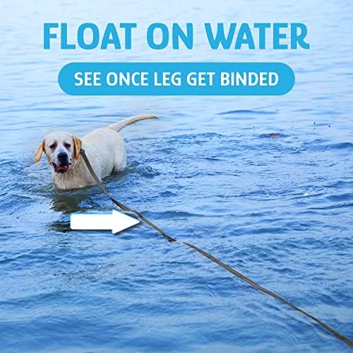 Chew resistente, flutuando na coleira de treinamento de cães de água, trela resistente ao desgaste, alça de gancho de serviço pesado, manuse