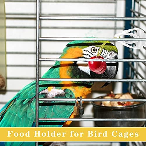 6 peças Pássaro gaiola alimento suporte papagaio clipes de vegetais de frutas clipe de gaiola de pássaro clipe para periquito periquito