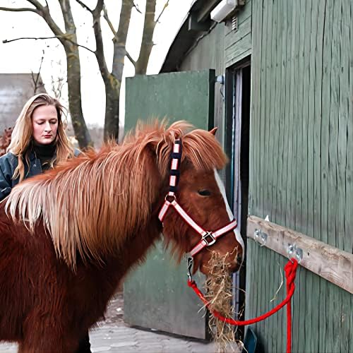 Zrruowin Horse Water balde gancho cavalos guardas tiras anéis de cabine haval bucket tlaps hang alimente alimento de gancho de gancho