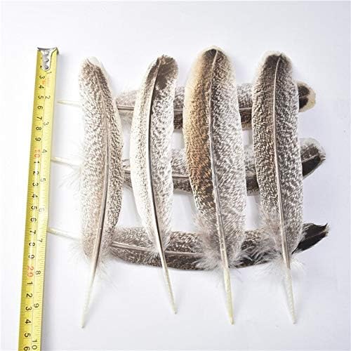 Zamihalla Natural Eagle Feathers for Crafts 10pcs-50pcs-100pcs/lote 20-25cm-8-10 polegadas DIY Acessórios de decoração