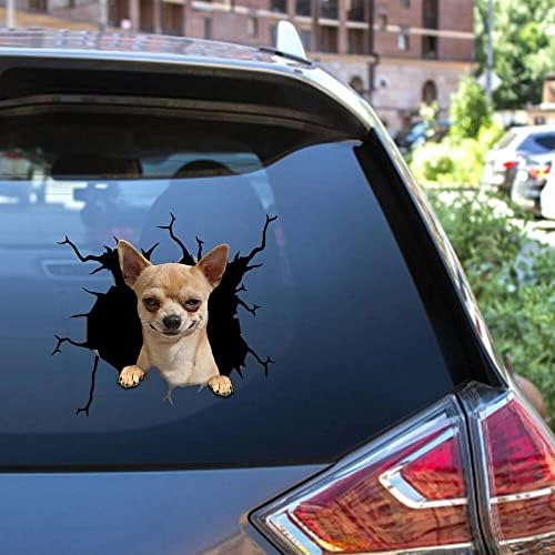 Chihuahua crack decalque super fofo fabricante de adesivos, cachorro D adesivo de vinil