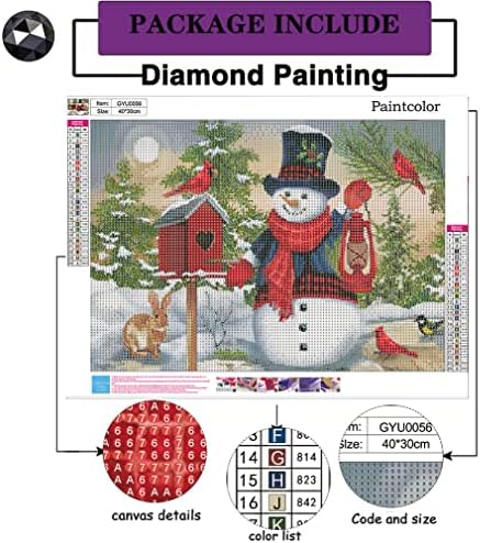 Kits de pintura de diamante de Natal para adultos iniciantes - kits de arte de diamante de boneco de neve 5d Diamante