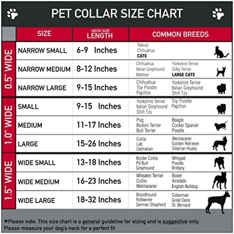 CLIP de plástico de colarinho de cachorro Bandeira do Novo México preto de 18 a 32 polegadas de 1,5 polegada de largura