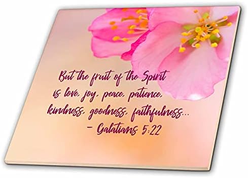 Bíblia 3drose - mas o fruto do espírito é amor, alegria, paz, paciência. - Azulejos