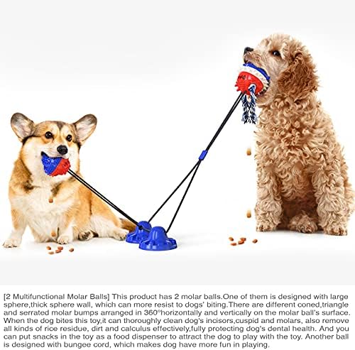 Beining Dog Chew Cuplet Trug Of War Toy, Multifunction Dog Chewers Corda Puzzim de dentes de dentes mordida molar duas bolas estrus