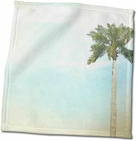 3drose ps natureza - palmeira no céu azul - toalhas