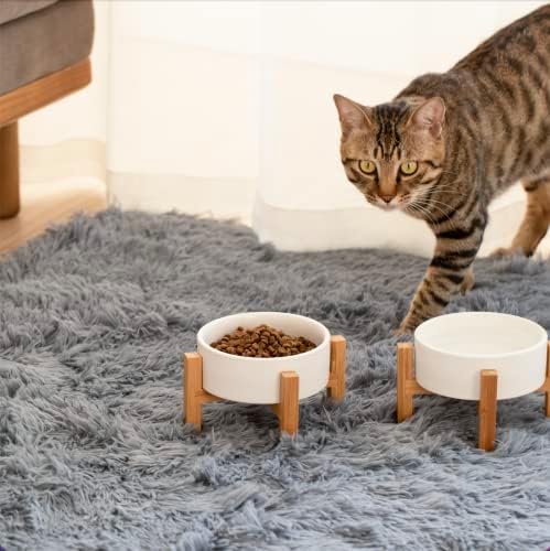 Prato de tigela de gato de cão cerâmico com suporte para alimentos e alimentadores de água, tigelas de estimação com pesos pesados ​​modernos para gatos e cães por Pet Sungeen