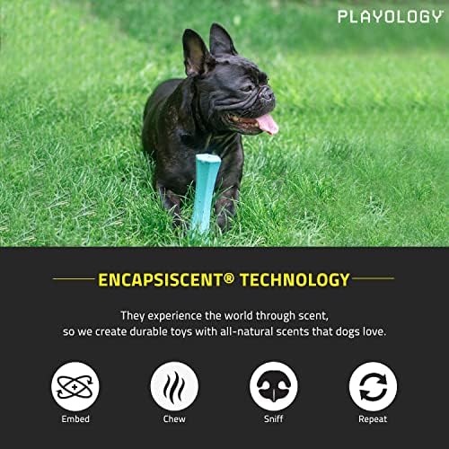 Playology Squeaky Chew Stick Dog Toy, para cães médios a grandes - para mastigadores moderados - envolvendo brinquedo de manteiga de amendoim totalmente natural - materiais não -tóxicos