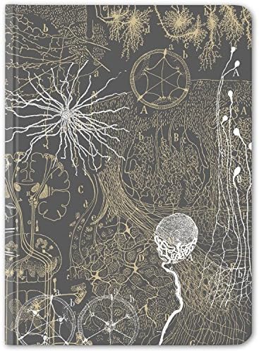 Notebook de neurônios cinza excedentes cognitivos.
