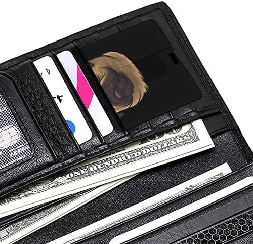 Pug Dog Retrato USB 2.0 Flash-DRIVES Memory Stick Credit Card Formulário