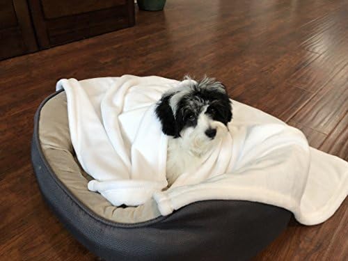 Maior conforto Super Soft Premium Pet Clanta para cães pequenos, filhotes, gatos e gatinhos - Melhor Amigo Blue Small Dog Clanta - 30 x 40 - Ótimo para camas de estimação e transportadoras