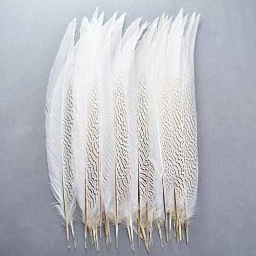Zamihalaa - 100pcs/lotes de faisão de faisão de prata Feathers 30-80cm/12-32 polegadas Fedas de faishers para artesanato