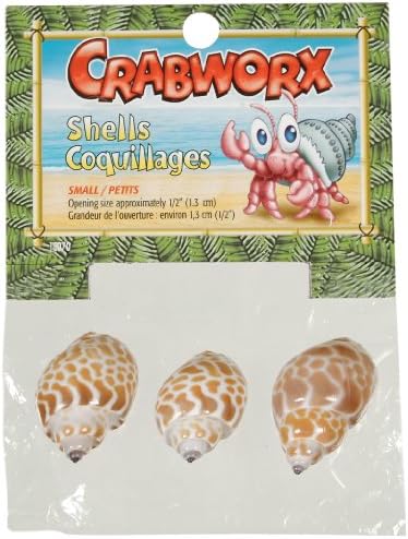 Charcworx conchas, pequenas