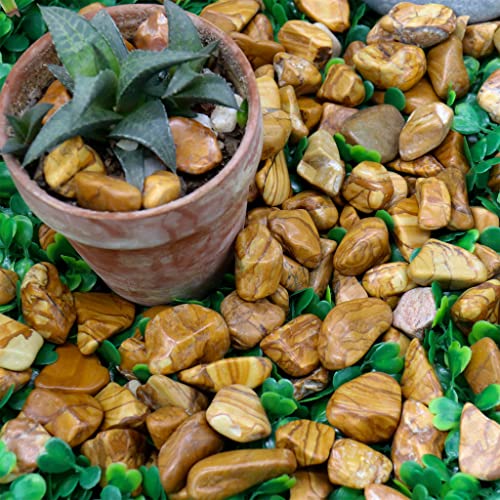Pebles de madeira polida 10 lb. Rochas de ½ ” - 1” para plantas, jardins, paisagismo, suculentas, cascalho de tanque de peixes,