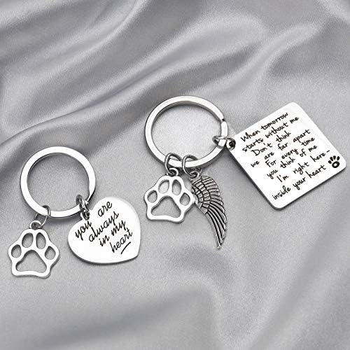 Criar Idea Dog Cat Memorial Chaves Pet Love Keyring Hollow Heart Chain Key Chain de aço inoxidável 2pcs