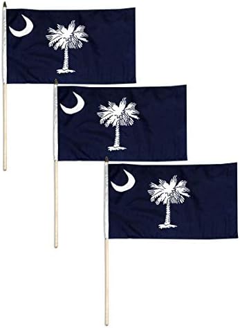 Bandeira da Carolina do Sul 12 x 18 polegadas