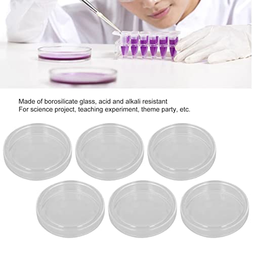 Conjunto de pratos de Petri, prato de cultura de células transparente para experimento de Bioresearch
