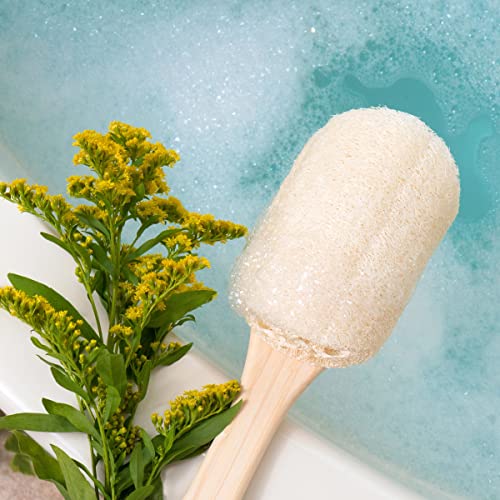 Escova de banho de boba ecotools, pincel de chuveiro com alça ergonômica, limpa áreas difíceis de alcançar, esponja de banho