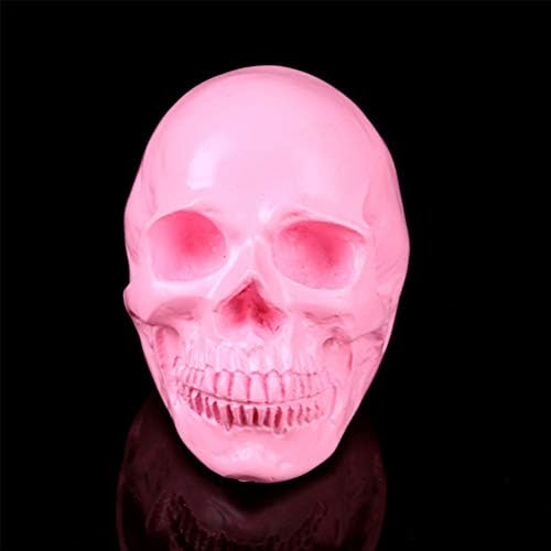 PTS Halloween Skulls Heads Halloween Head Decor Halloween Halloween Skeleton Bones Desktop Halloween Decor