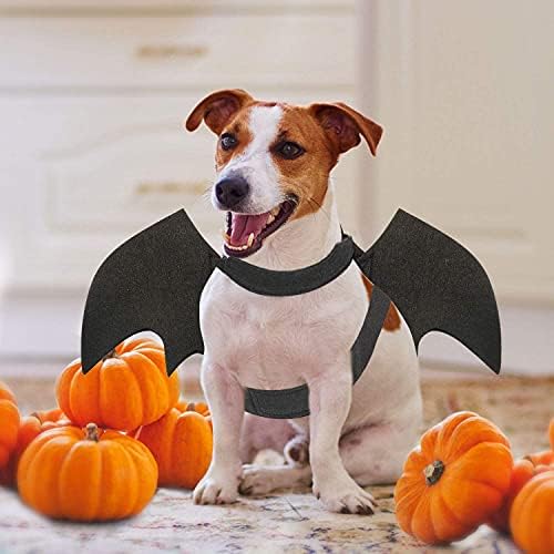 Fantasia de morcego para cães, fantasia de pet -tear asas de pet asas de bastão cosplay cães grandes acessórios para festa