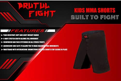 Brutul Fight Kids MMA MIS