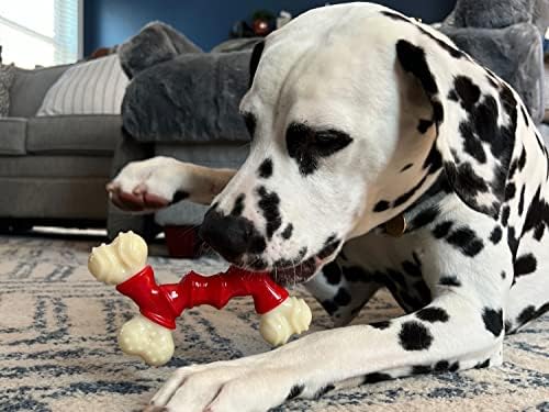 Nylabone Double Power Power Mastigando o brinquedo de cachorro de longa duração Bacon médio/lobo