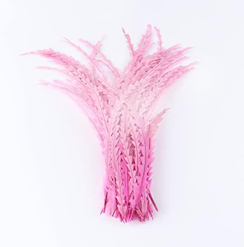 Zamihalaa - 20/50/100pcs tingido de galo rosa cauda penas de penas irregulares 35-40cm festa de casamento decoração artesanato de frango - 100pcs