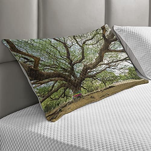 Ambesonne Nature acolchoado Cobertão de travesseiros, magnífica árvore de chuva na Tailândia com galhos longos cenários rurais cenários de crescimento, capa padrão de travesseiro de sotaque queen size para quarto, 30 x 20, verde marrom