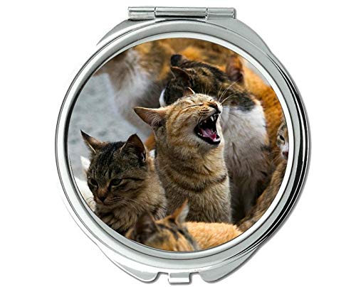 Mirror de bolso, espelho de gato do Japão para homens/mulheres, ampliação de 1 x 2x