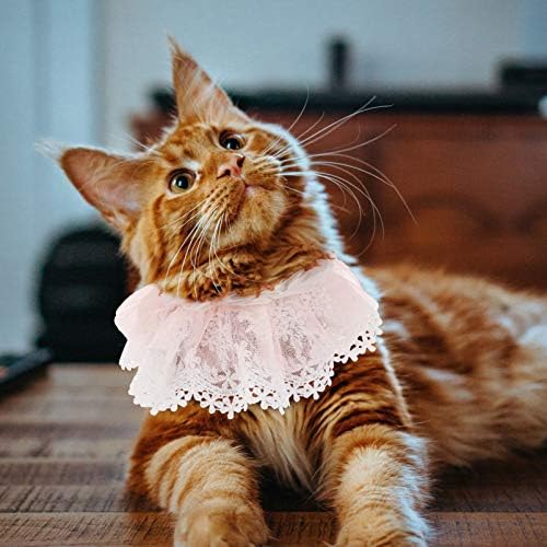 IPETBOOM Party Pearls Bibs Collar com cachecol de vestido para cachorro up pink tize rosa Bandana Fotos de fantasia CAT CAT CALCTIE
