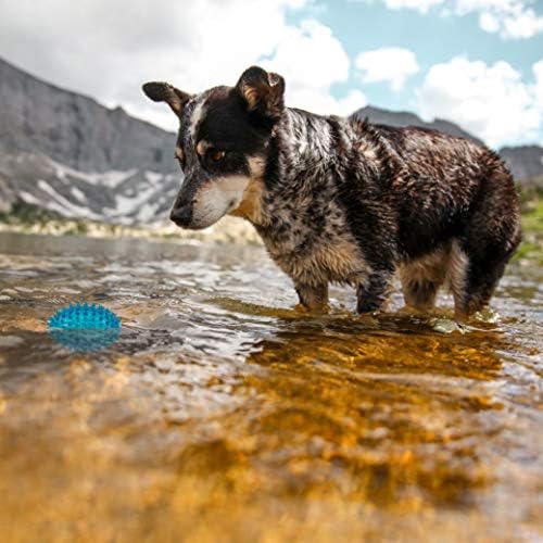 GNAWSOME ™ 3,5 ”Spiky Squeaker Football Dog Toy - pequeno, limpa os dentes e promove boa saúde dental e gengiva para o seu animal de estimação, as cores variam